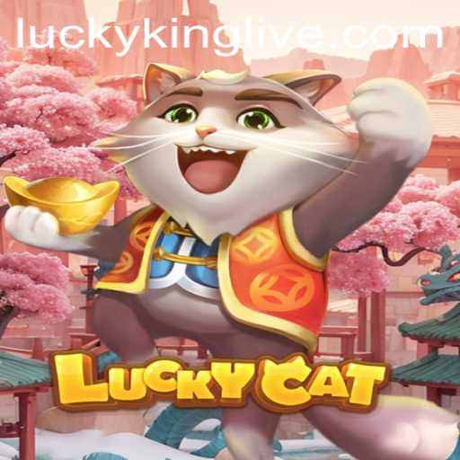 Discover the Magical World of LuckyCat