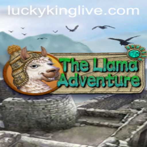 The Llama Adventure: Embark on a Whimsical Journey